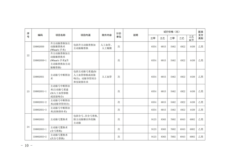 内医保发〔2025〕11号 关于公布2025年内江市第一批新开展医疗服务价格项目及试行价格的通知(_09.jpg