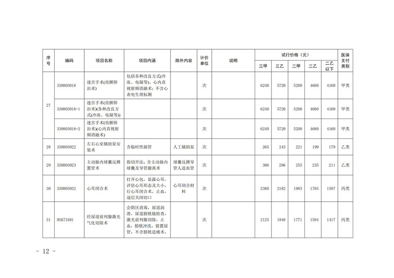 内医保发〔2025〕11号 关于公布2025年内江市第一批新开展医疗服务价格项目及试行价格的通知(_11.jpg