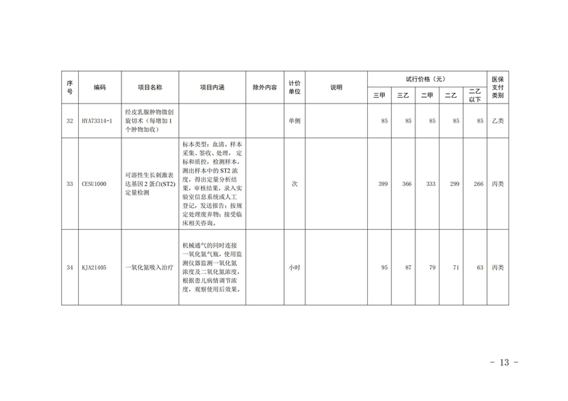 内医保发〔2025〕11号 关于公布2025年内江市第一批新开展医疗服务价格项目及试行价格的通知(_12.jpg